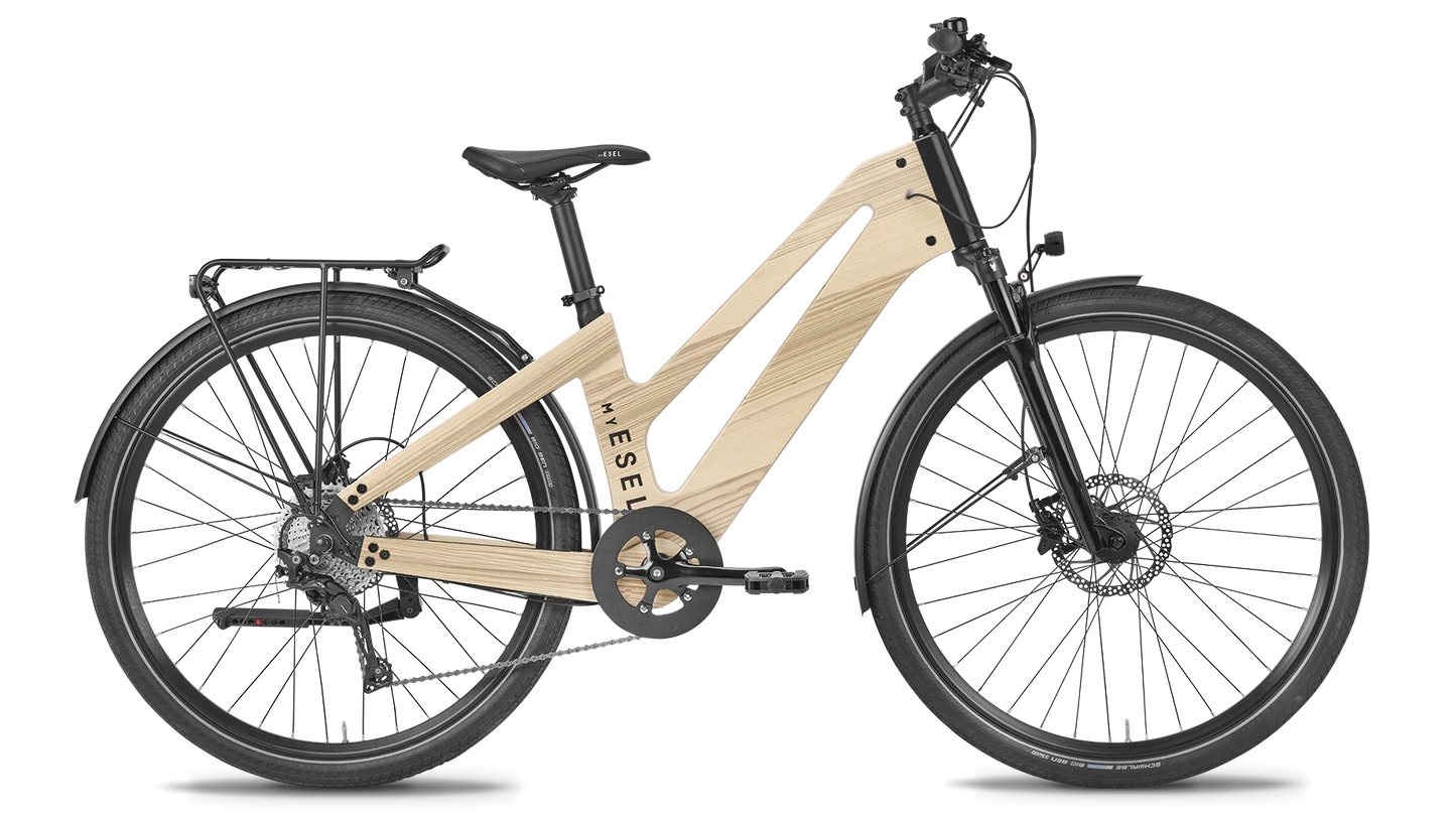 E-Tour Pro Komfort Plus (Seitenständer, Schutzbleche, Licht und Gepäckträger)